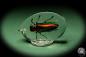 Preview: Chrysochroa fulminans aurora ein Schmuckstück aus Acryl