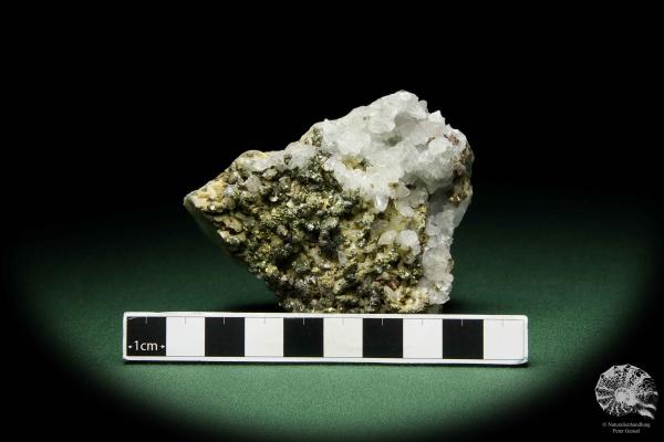 Chalcopyrite XX & Dolomite XX on Calcite XX a mineral