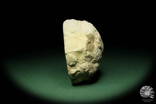 Calcite XX on Gypsum a mineral