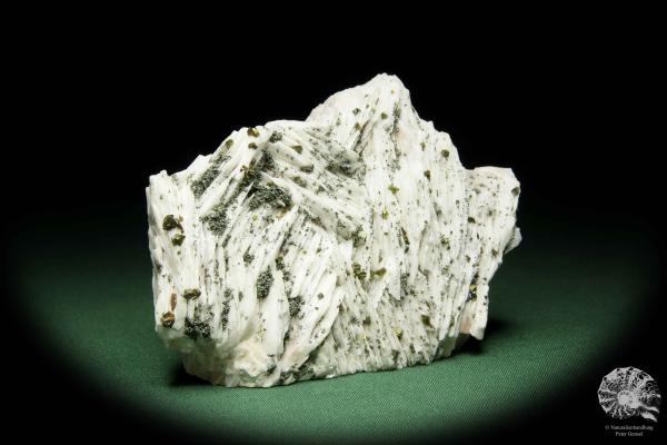 Chalcopyrite XX on Baryte XX a mineral