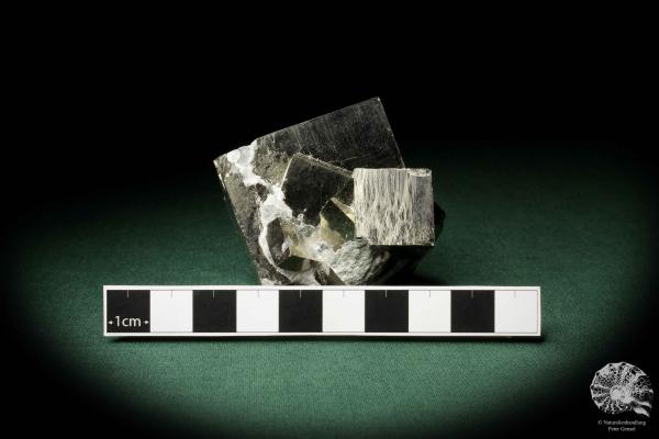 Pyrite XX a mineral