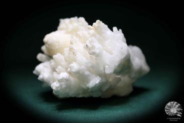 Aragonite XX a mineral