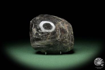 Black Moonstone a mineral