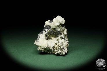 Dolomit XX auf Sphalerit XX ein Mineral