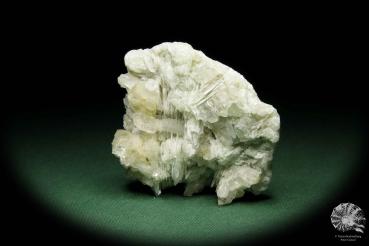 Datolith XX, Quarz XX & Calcit XX ein Mineral