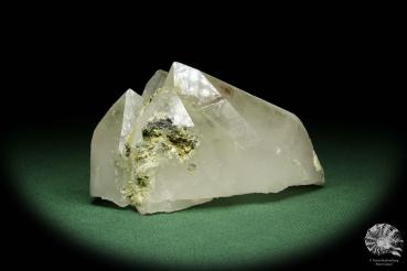 Quartz XX with Pyrite XX a mineral