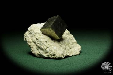 Pyrite XX in Clay Slate a mineral