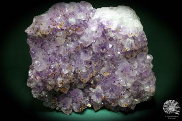 Amethyste XX with Goethite XX a mineral