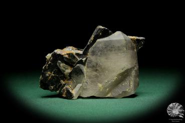 Wolframit XX & Quarz XX ein Mineral