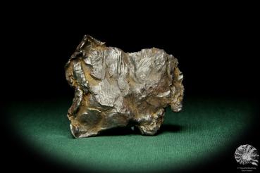 Ni-Fe Meteorit ein Mineral