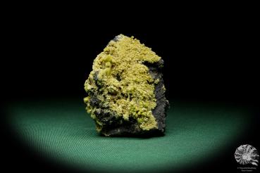 Pyromorphit XX ein Mineral