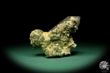 Bertrandit XX auf Quarz XX mit Pyrit XX & Rhodochrosit XX ein Mineral