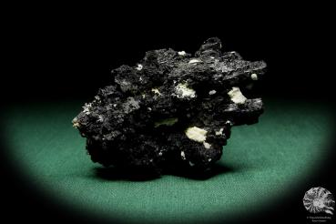 Black Tourmaline XX a mineral