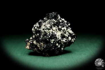 Black Tourmaline XX a mineral