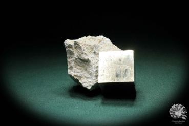 Pyrite XX in Marl Matrix a mineral