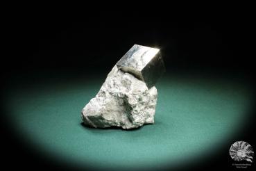Pyrite XX in Marl Matrix a mineral
