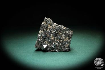 Magnetite XX a mineral