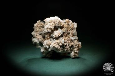 Calcit & Rhodochrosit & Arsenopyrit XX & Pyrit & Spalerit ein Mineral