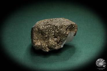 Pyrit XX auf Calcit XX ein Mineral
