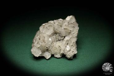 Calcit XX mit Chalkopyrit XX ein Mineral
