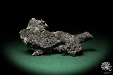 Solid Copper & Cuprite XX a mineral