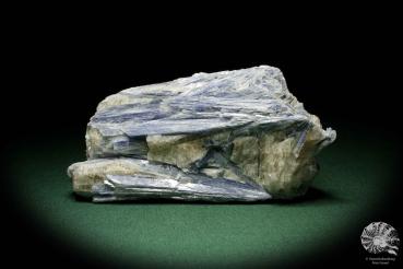 Kyanite XX a mineral