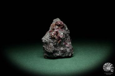 Erythrite XX on Skutterudite a mineral