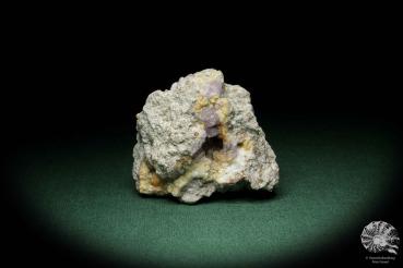 Amethyste XX a mineral