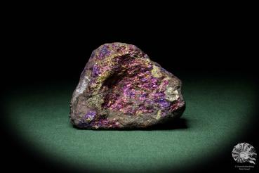 Chalkopyrit mit Anlauffarben ein Mineral